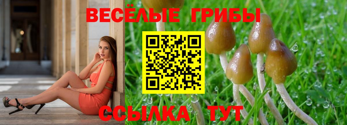 Псилоцибиновые грибы прущие грибы  Вход с VPN  Галлюциногенные грибы ЛСД  Коркино 